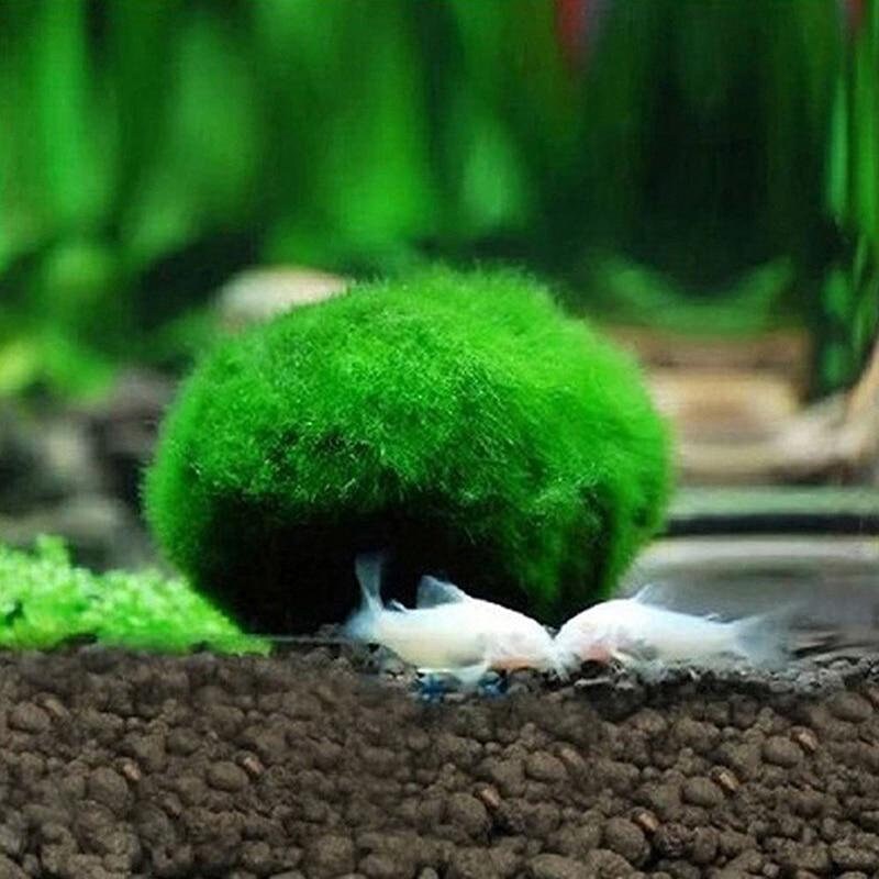 Lot De 30 Boules De Mousse Verte Artificielle | La Maison Du Jardinier