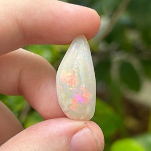 Coober Pedy Shell Fossil Opal Solid - 8.15 carats - White Opal with Bright Multicoloured Flashes N0932 High Grade