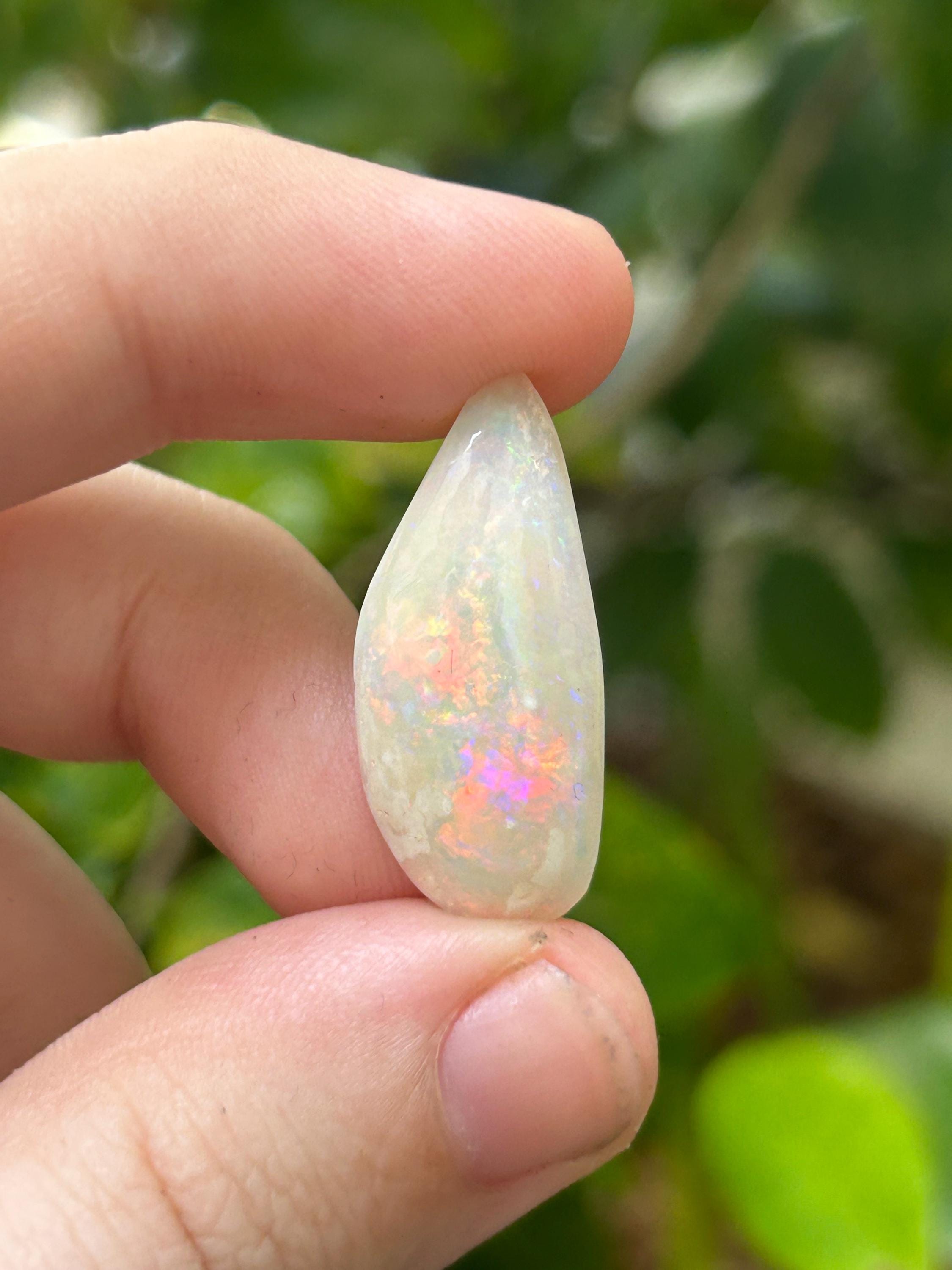 クーバーペディ シェル化石オパール ソリッド - 8.15 カラット