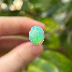 クーバーペディ シェル化石オパール ソリッド - 8.15 カラット