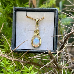 Puede incluir: Un collar con colgante de oro con una piedra preciosa de &oacute;palo ovalada. El &oacute;palo est&aacute; engastado en un marco de oro y cuelga de una fina cadena de oro. El colgante se muestra en una caja de joyer&iacute;a negra, rodeado de vegetaci&oacute;n.