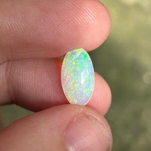 クーバーペディ シェル化石オパール ソリッド - 8.15 カラット