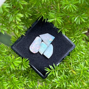 May include: Four iridescent opal gemstones in a black velvet box. The opals are various shapes and sizes, with a milky white color and flashes of rainbow.