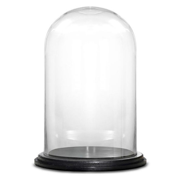 Glass Cloche Display Dome With Black Wood Base H 15" D 10"