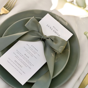 May include: A white card with a green ribbon tied in a bow. The card has the text "Welcome Luna Smith" and a menu with the headings "Entree", "Main", and "Dessert". The card is on top of two green plates.