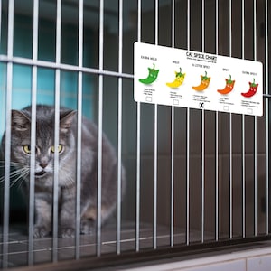 Einzigartige & kreative Gewürz-Temperamentkarte für Katzen und Hunde - sofortiger digitaler Download
