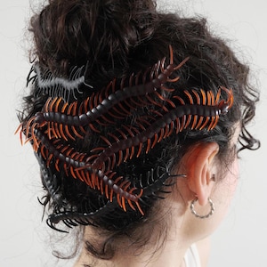 May include: A person with curly dark brown hair wearing a white tank top has multiple black and orange centipede-shaped hair clips in their hair.