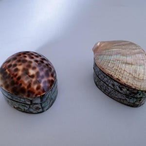 Peut inclure: Deux petites boîtes ovales avec des couvercles en coquillages naturels. La boîte de gauche présente un couvercle en coquillage cauri tacheté de brun et de beige, tandis que celle de droite a un couvercle en nacre irisée. Les bases sont en mosaïque.