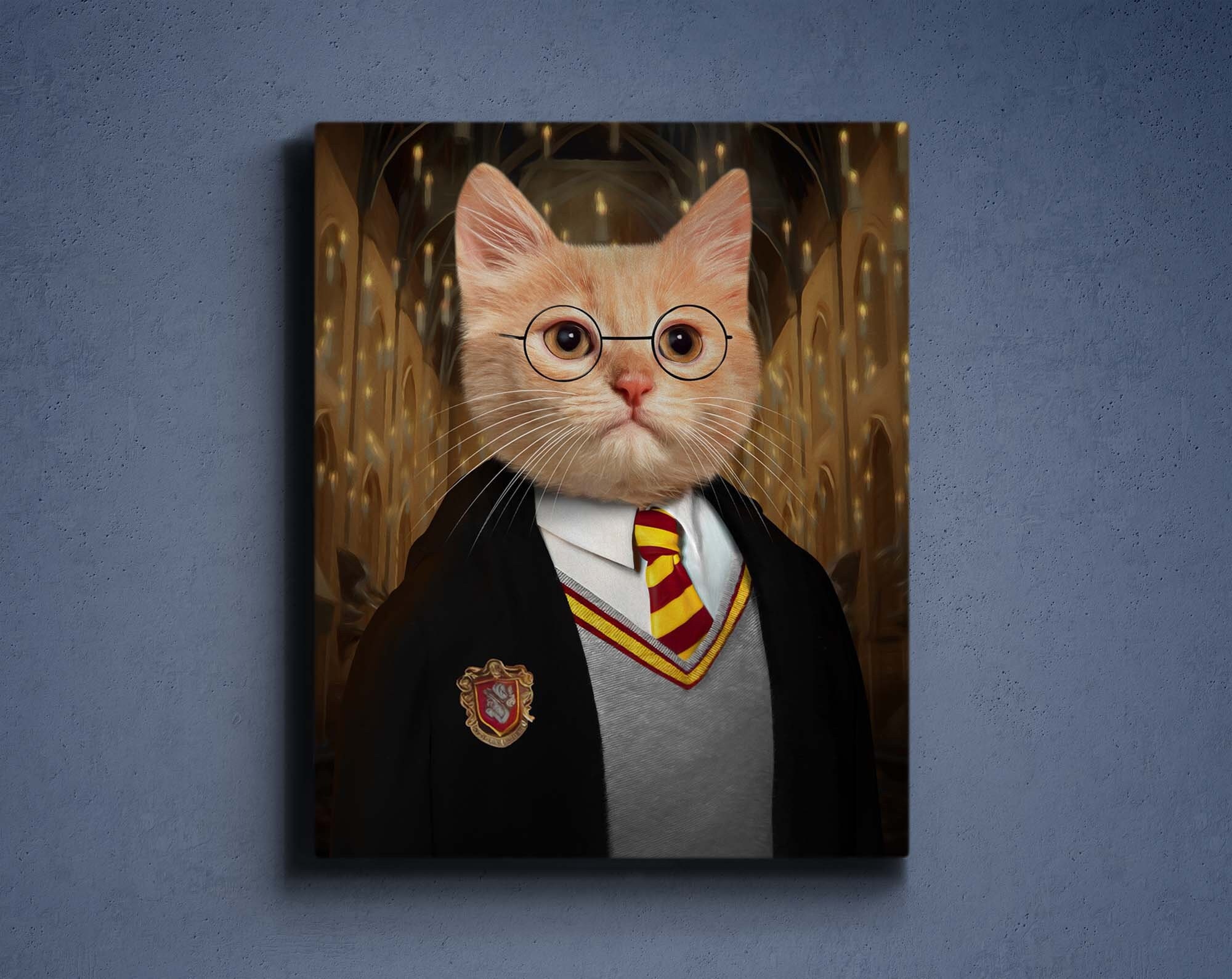 Cat potter costume Italia