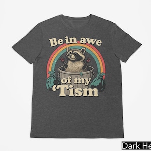 Be in Awe of My &#39;Tism Shirt, Funny Mom Autism T-Shirt, Gift for Autism Awareness, Meme Autistic Opossum Shirt, Autism Acceptance Gift Shirt