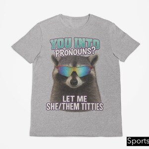 You Into Pronouns? Let Me She/Them Titt*es, Vintage Unhinged Raccoon Tee, Inappropriate Shirt, Funny Raccoon Meme Shirt, Weird Dark Humor