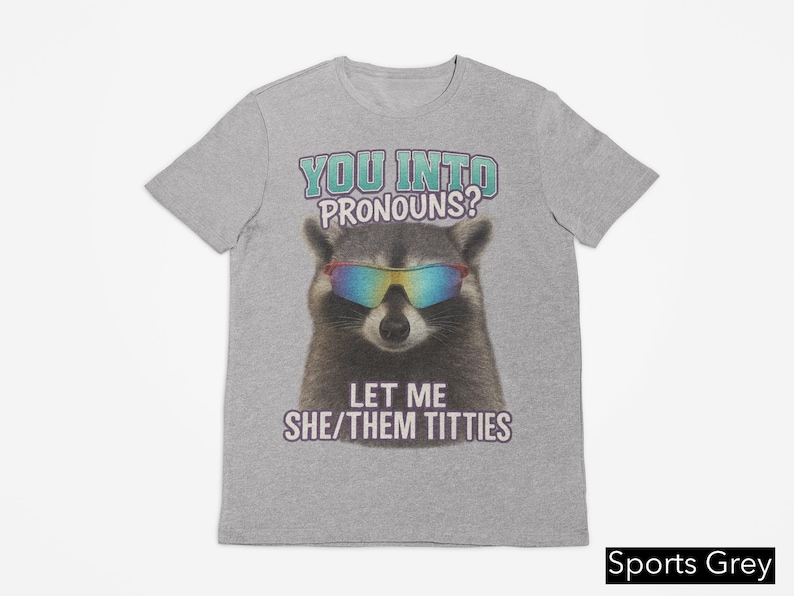 You Into Pronouns? Let Me She/Them Titt*es, Vintage Unhinged Raccoon Tee, Inappropriate Shirt, Funny Raccoon Meme Shirt, Weird Dark Humor