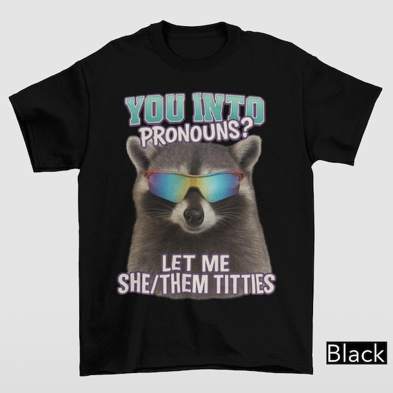 You Into Pronouns? Let Me She/Them Titt*es, Vintage Unhinged Raccoon Tee, Inappropriate Shirt, Funny Raccoon Meme Shirt, Weird Dark Humor