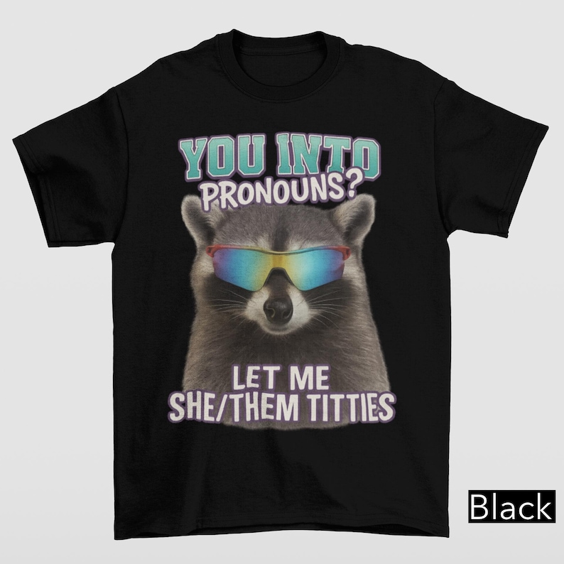 You Into Pronouns? Let Me She/Them Titt*es, Vintage Unhinged Raccoon Tee, Inappropriate Shirt, Funny Raccoon Meme Shirt, Weird Dark Humor
