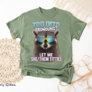 You Into Pronouns? Let Me She/Them Titt*es, Vintage Unhinged Raccoon Tee, Inappropriate Shirt, Funny Raccoon Meme Shirt, Weird Dark Humor