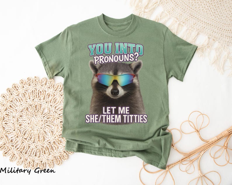 You Into Pronouns? Let Me She/Them Titt*es, Vintage Unhinged Raccoon Tee, Inappropriate Shirt, Funny Raccoon Meme Shirt, Weird Dark Humor