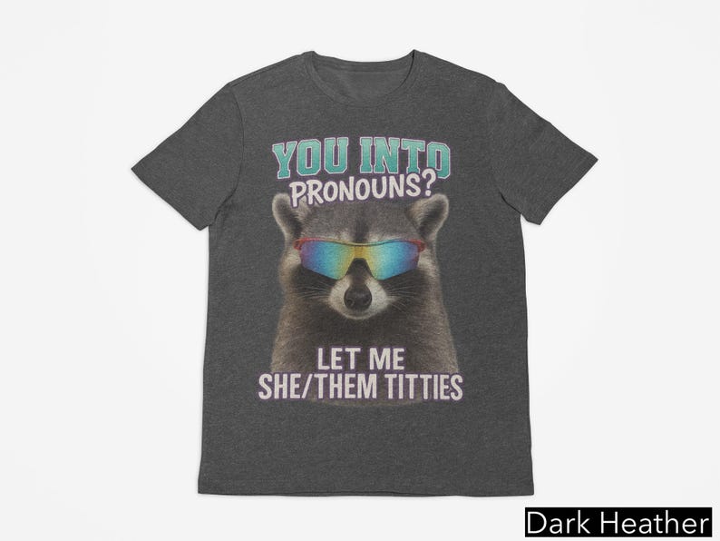 You Into Pronouns? Let Me She/Them Titt*es, Vintage Unhinged Raccoon Tee, Inappropriate Shirt, Funny Raccoon Meme Shirt, Weird Dark Humor