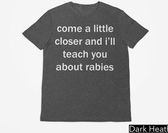 Come A Little Closer & I'll Teach About Rabies Tee, Unhinged Shirts, Funny Meme Shirt, Adult Humor Shirt, Inappropriate Gift, Y2K Aesthetic
