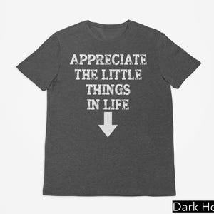 Appreciate The Little Things In Life T-Shirt, Funny Dirty Sayings Tshirt, Inappropriate Shirt, Oddly Specific Shirt, Offensive Y2K Gag Gifts