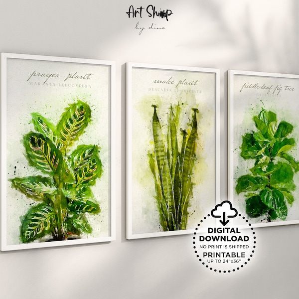 Botanical Printable Wall Art, Tropical Plants Art Prints for Cottagecore or Scandinavian Decor, Set of 3 Watercolor Prints, Plant Lover Gift