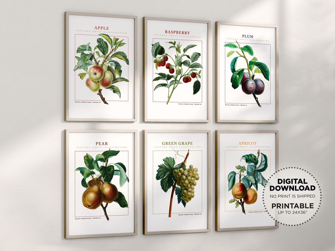 Vintage Fruit Printable Wall Art Gallery Wall Bundle, Apple Pear