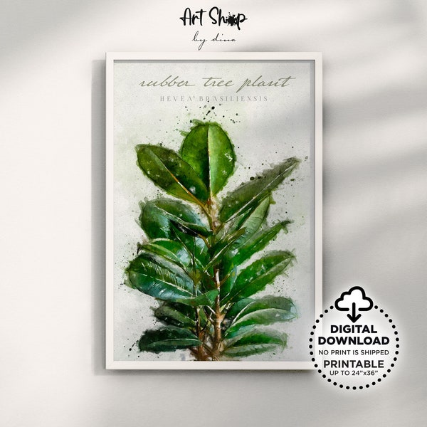 Watercolor Rubber Tree Plant Printable Wall Art, Tropical Foliage Print for Farmhouse or Cottagecore, Botanical Art Print, Plant Lovers Gift