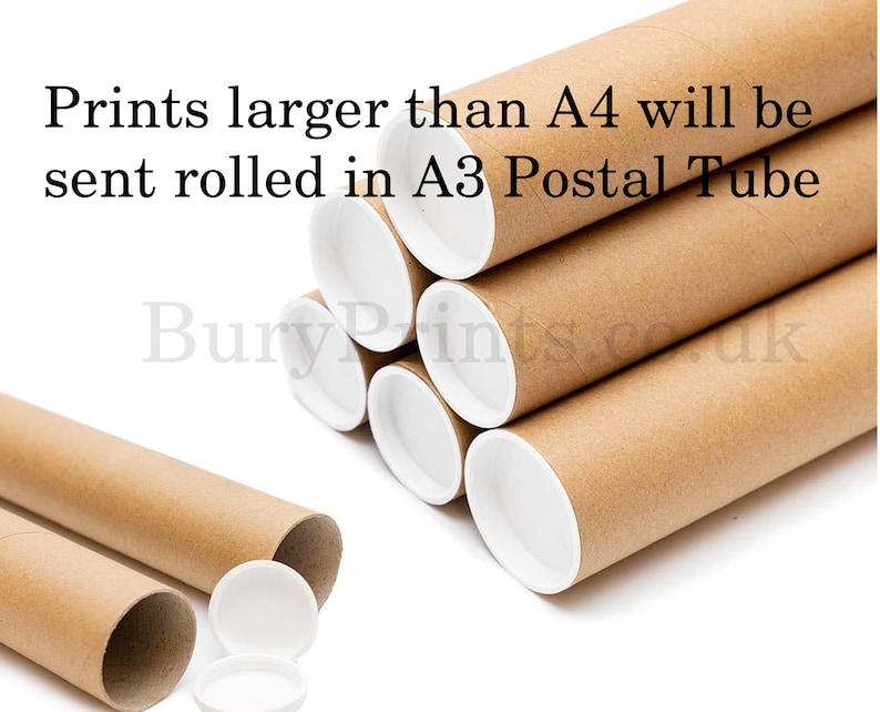 Puede incluir: Tubo postal de cart&oacute;n marr&oacute;n con tapas de pl&aacute;stico blanco. Las impresiones m&aacute;s grandes que A4 se enviar&aacute;n enrolladas en un tubo postal A3.