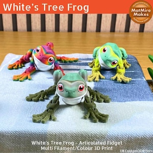 White's Tree Frog - Articulated Fidget