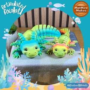 Puede incluir: Dos figuras articuladas de ajolote, una verde y azul, la otra con un esquema de colores arcoíris. Ambas tienen ojos grandes y expresivos y están posadas de forma juguetona. Las figuras están hechas de plástico impreso en 3D y forman parte de una colección llamada "Articulated Axolotl".