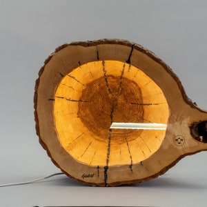 Könnte beinhalten: Eine Holzlampe aus einer Baumscheiben-Scheibe mit einem warmen, leuchtenden Licht, das aus der Mitte strahlt. Die Lampe hat ein natürliches, rustikales Aussehen und eine einzigartige, asymmetrische Form.