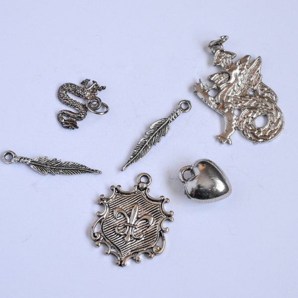 Antique Tibetan Silver 6pcs Charms/Pendants - Mixed Lot - Dragon, Heart, Feather, Crest, Fleur de lis