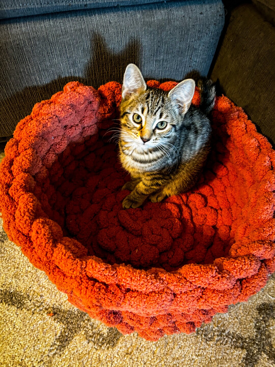 Cozy Pet Bed Chunky Yarn Knitted Pet Bed Chunky Yarn Warm Etsy