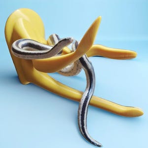 Eco-Friendly Reptile Branch Gift | UK Handmade 3D Printed Vivarium Decor | Non-Toxic Plant-Based PLA+ | ReptiHaven Wall-Mounted Basking Spot