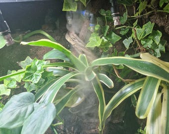 Ventilación ReptiFogger de Zoo Med para vivarios EXO Terra