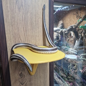 Detachable Basking Spot Shelf for Reptile Vivarium, 3D Printed Terrarium Decor