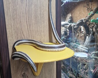 Estante desmontable para zona de calor para terrario de reptiles, decoración para terrario impresa en 3D