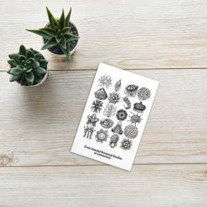 Ansichtkaart Botanische kunst – Zeeleven en natuurprints – A6-formaat – 2+ gratis verzending binnen het VK