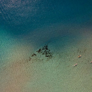 Shallows