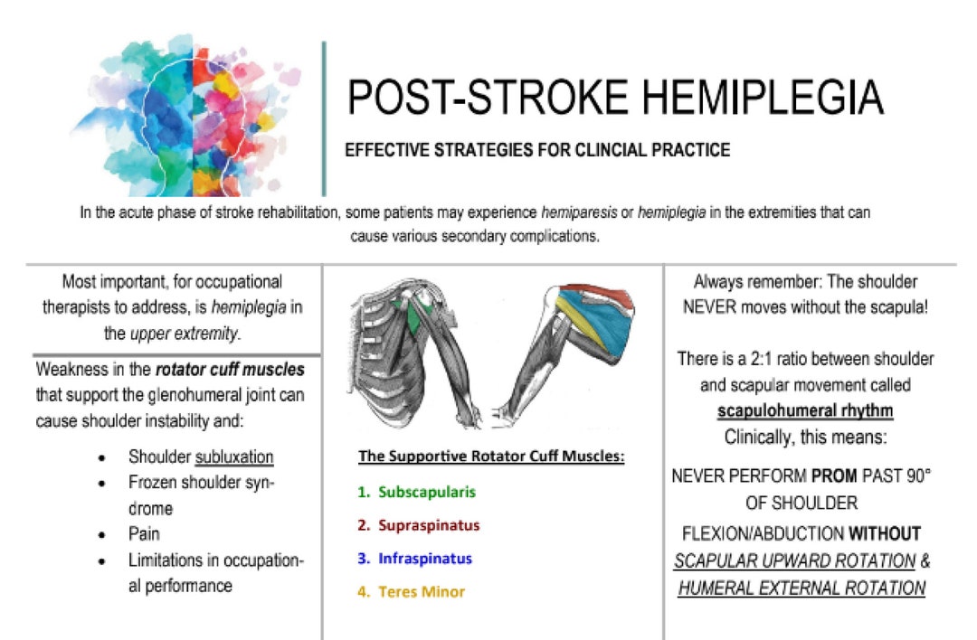 Stroke Hemiplegia Education Handout Etsy