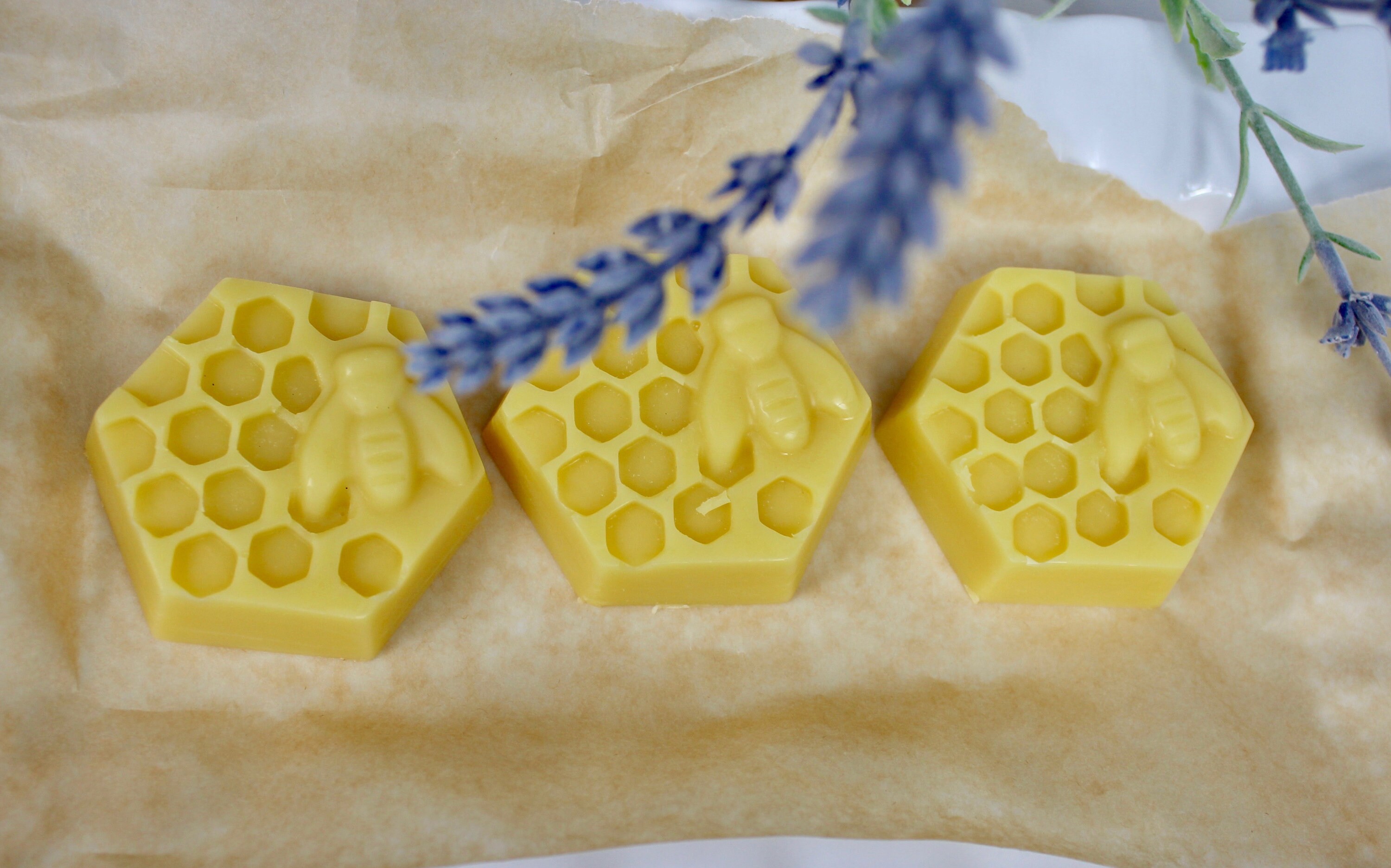 Large Nongreasy Solid Lotion Bars Lotion Bars for Tough Skin Cracked