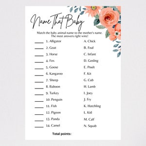 Floral Theme Baby Shower, Name That Baby Game, Baby Animal Name Game, Pink, Printable PDF Document