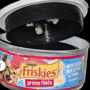 Cat-food stash Container&#39;s