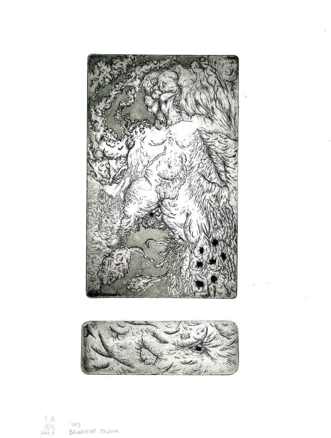 Tirage Gravure Sur Zinc corps Parasité Etsy