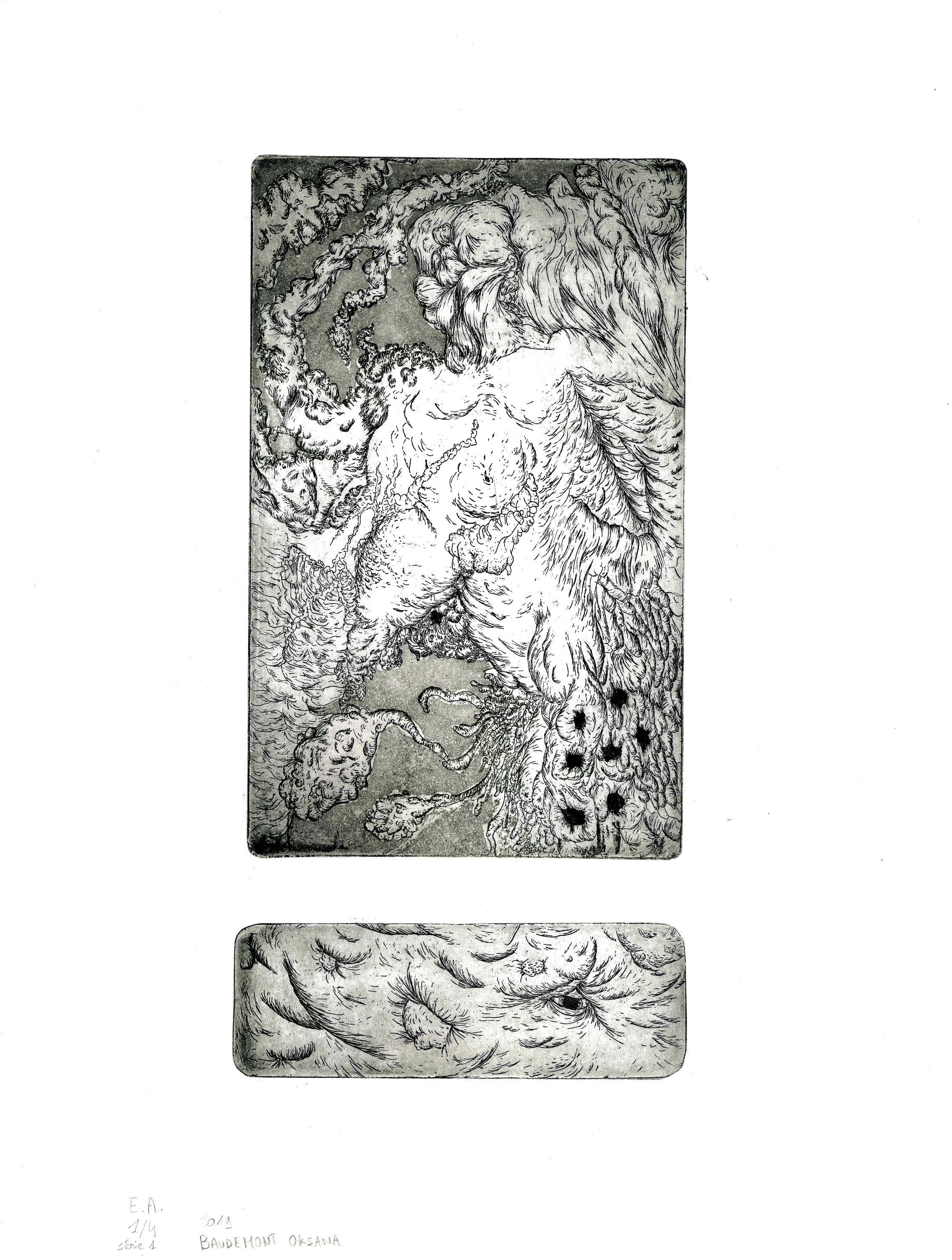 Zinc Engraving Print parasitic Body Etsy