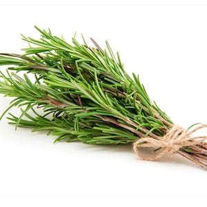Fresh Rosemary (5 Sprigs) scented gift decoration, Place Settings, Floral Decoration, Apothecary, Love, Sprigs, Table Decor
