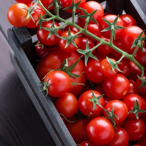 Best Ever Cherry Tomato -NON GMO- Safe Seed Pledge
