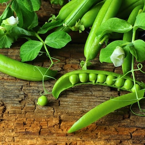The PERFECT Pea -NON GMO- Safe Seed Pledge
