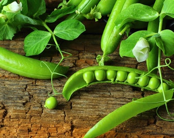 Peut inclure: Gros plan de gousses de petits pois vertes fraîches sur une surface en bois rustique. Les gousses sont ouvertes, révélant les petits pois vert vif à l'intérieur. L'image met en valeur les couleurs vibrantes et les textures des produits frais.