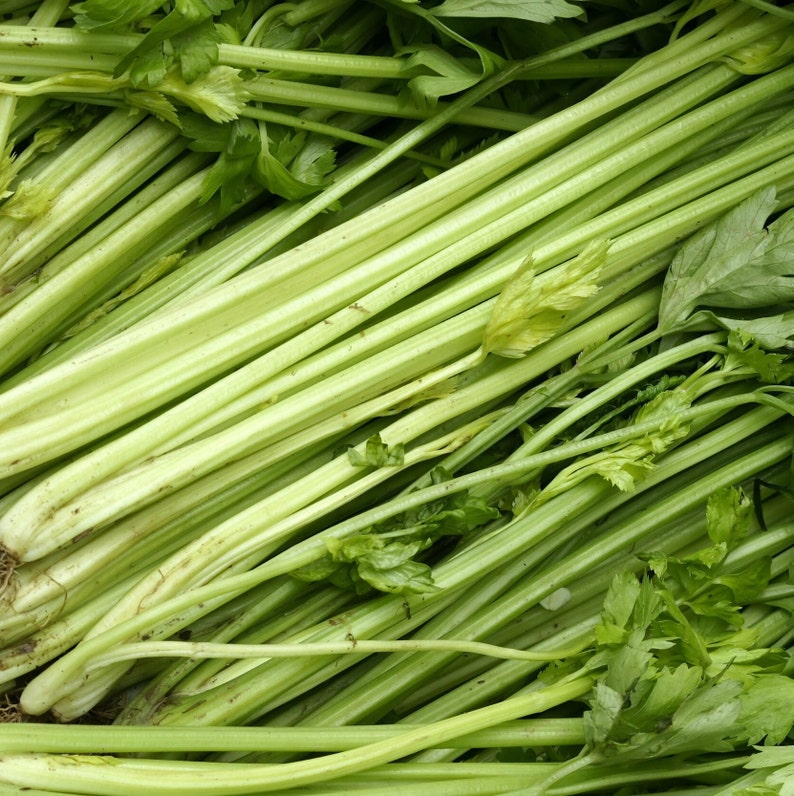 Peut inclure: Un bouquet de c&eacute;leri vert frais avec des feuilles.