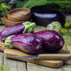 Peut inclure: Trois aubergines ray&eacute;es de violet et de blanc sur une planche &agrave; d&eacute;couper en bois avec un petit couteau. Les aubergines sont dispos&eacute;es en rang&eacute;e, la plus grande &agrave; l'arri&egrave;re et la plus petite &agrave; l'avant.
